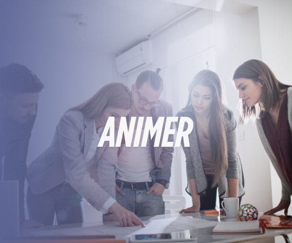 Animer